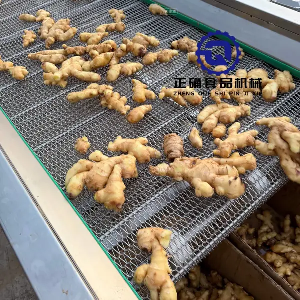 正确食品机械 气泡清洗机的价格 气泡清洗机推荐厂家