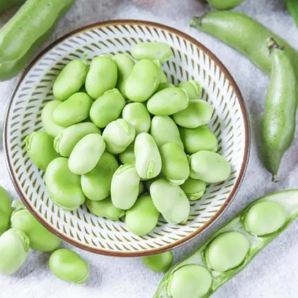 蚕豆进口需要什么条件和资料/食品进口报关清关