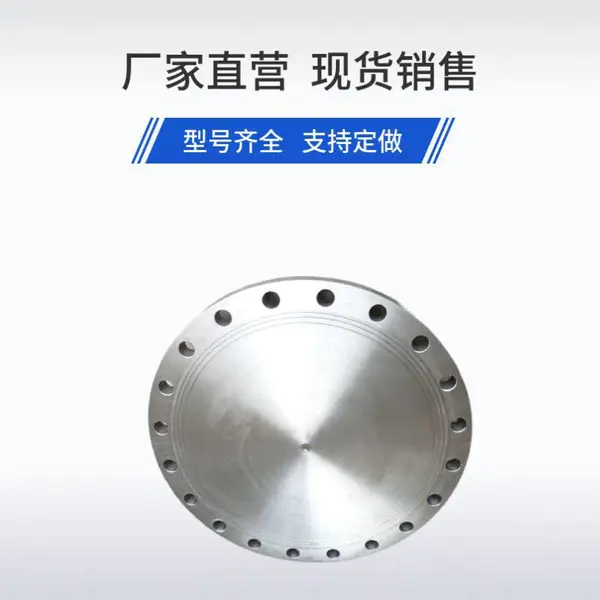 高性价比 F51 双相钢法兰 中等腐蚀场景适配 比 2507 材质成本优化 25%