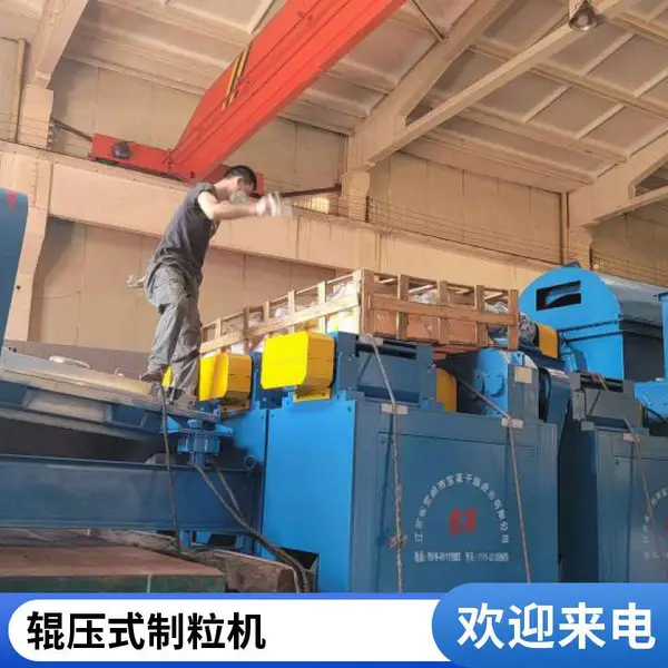 干法挤压碳酸锂造粒机厂家 医药化工颗粒成型机 非标定制