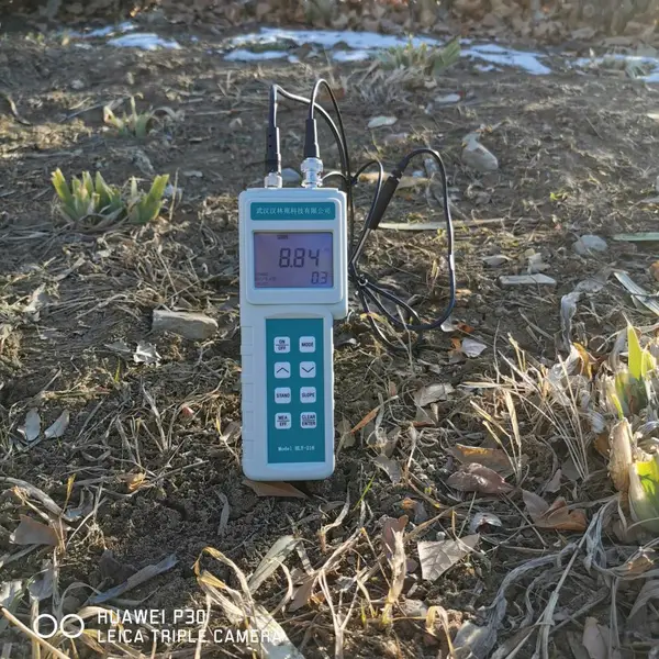 ����Է ����pH��HLY-216����ֱ��