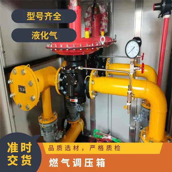 城镇燃气调压箱 RTZ-50Q 民用dn50调压器 过滤器
