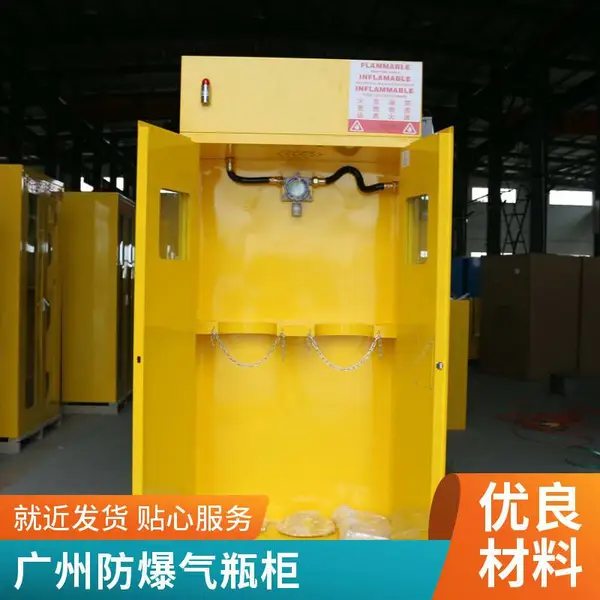 工业智能防爆气瓶柜 用于医院-实验室单瓶双瓶叁瓶规格-支持定制