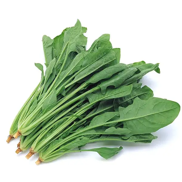 西安送菜的公司,西安蔬菜配送公司,西安食材配送服务中心