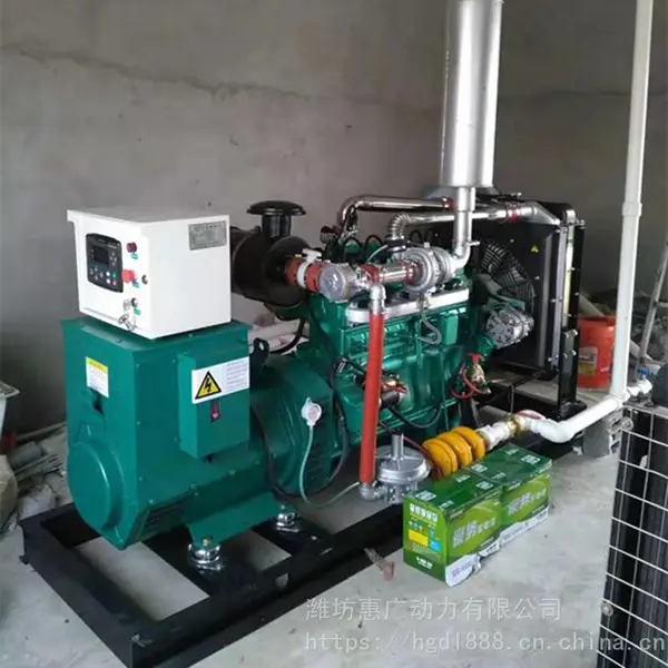 亳州120KW猪场沼气发电站 黑膜沼气工程 污水处理净化设备