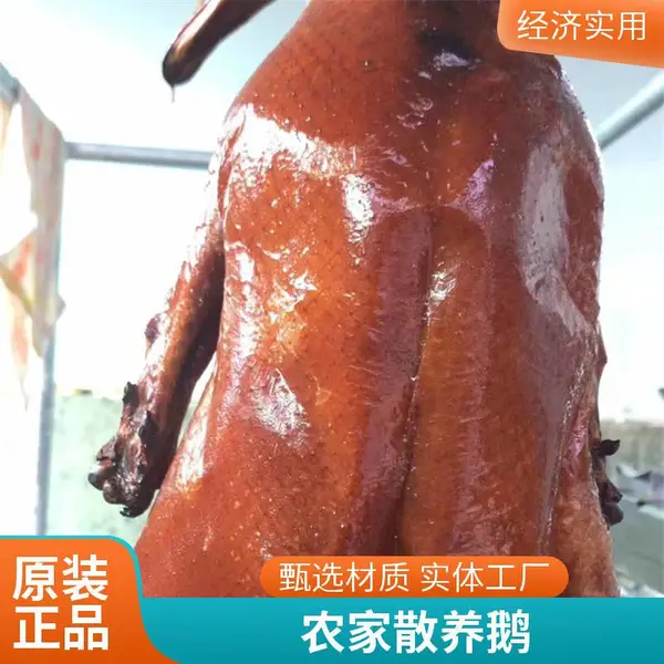 精选黑棕鹅 肉质鲜嫩 现宰现发 冷链配送 源头好货