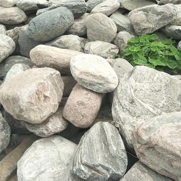 ��������ѩ��ʯ԰�ֲ��� ����ѩ��ʯ�ѻ��� ����ѩ��ʯ��ƬΧ��