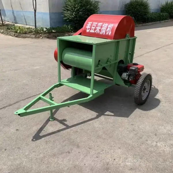 ����;ë����ժ�� ��ë��ȥ���ѼԻ� ë�������������ũ��е