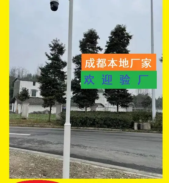 监控杆厂家定做/摄像机控立杆/道路监控立杆/八角监控立杆【成都世纪天晟】