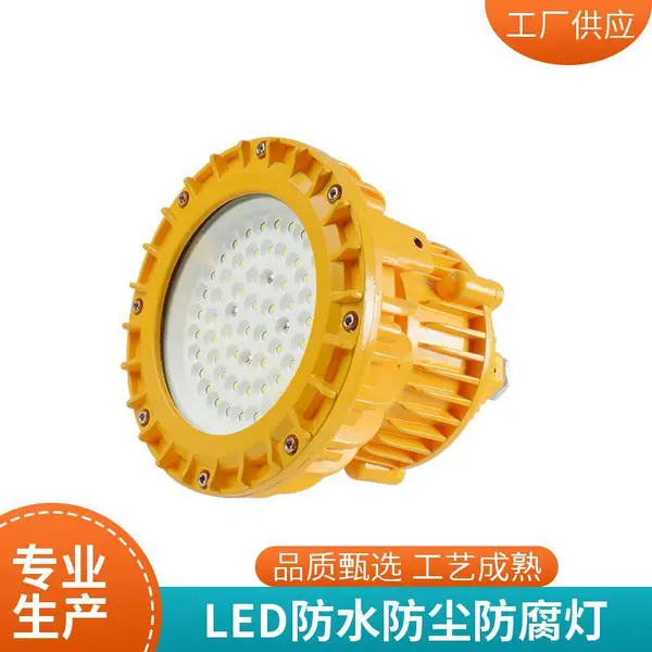 FGV6216 LED免维护节能防水防尘防腐灯 粉尘隔爆灯 三防泛光灯