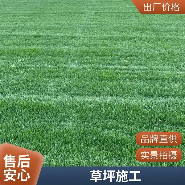 怀柔屋顶花园绿化户外草坪铺装屋顶阳台绿化施工批发