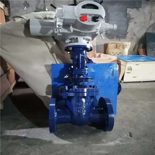 �����㽭���Ӹ�������բ�� Z61Y-10I Z561Y-10I �����Ш�κ���բ�� DN100