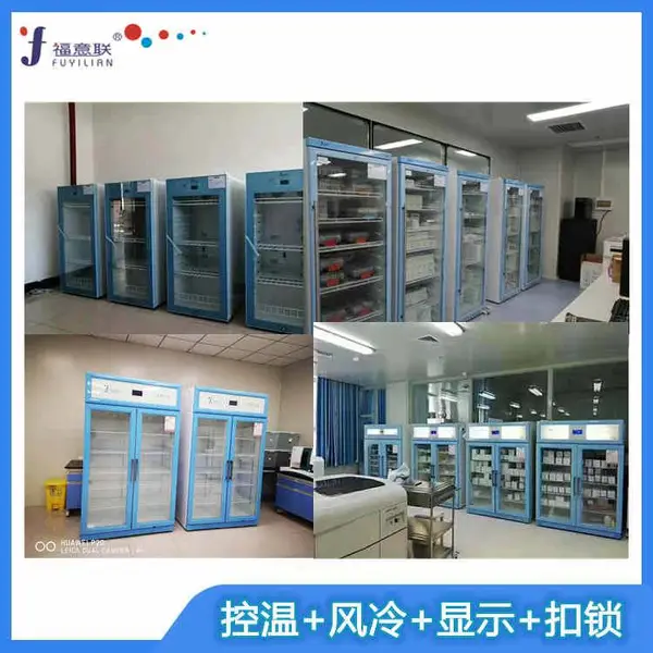 PCR-20℃试剂冰箱FYL-YS-128L核酸检测负20℃试剂低温冰箱