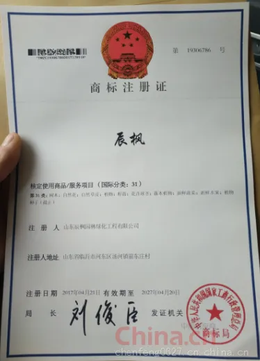 商标证书
