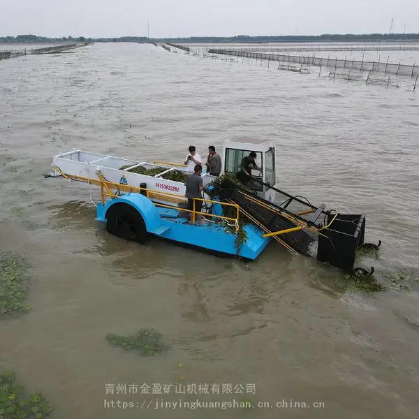小型水草打捞船 金盈生产自动割草船