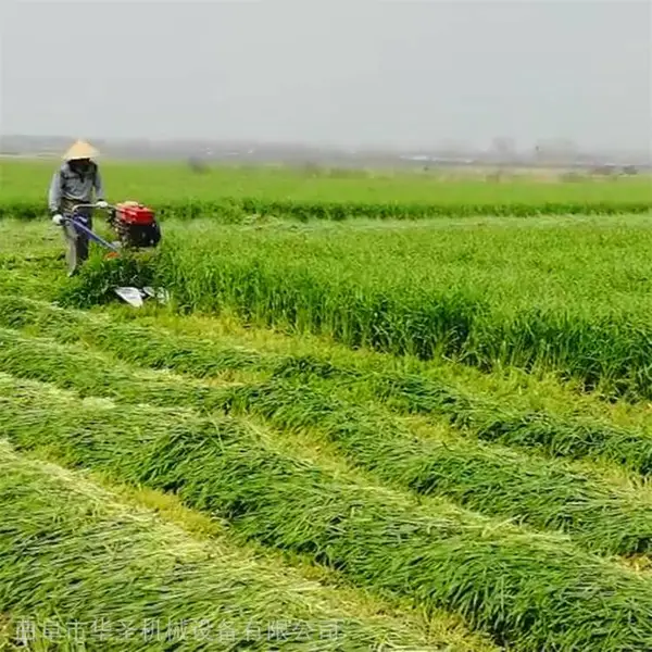 黄豆秸秆割晒机 柴油手推式收割机 割幅1米割草机