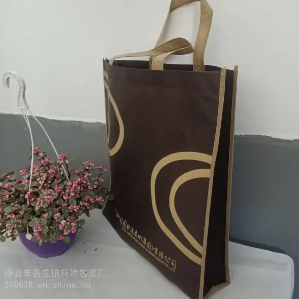 丝印 无纺布袋 打叉加固 手提袋子 定制 广告宣传袋 加印logo 无纺布袋 定做 批发 厂家