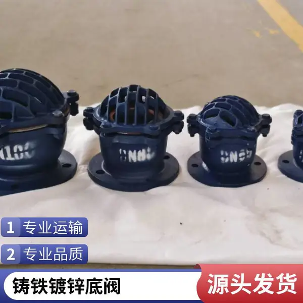 厂家供应 水泵底阀 旋启式法兰底阀 DN200 用于矿山排水泵 耐磨损