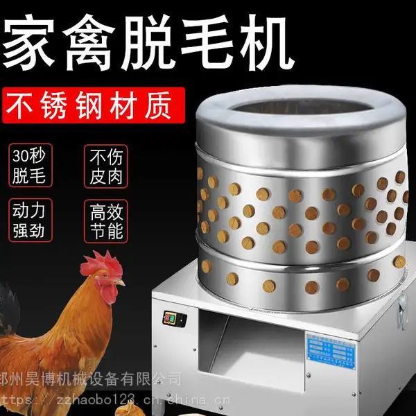 洛阳家禽脱毛机专卖店 商用小型鸡鸭鹅脱毛机厂家直销