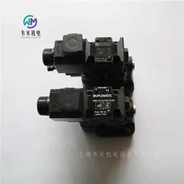 DUPLOMATIC���������RQM3-P5/A/60N-D24K1