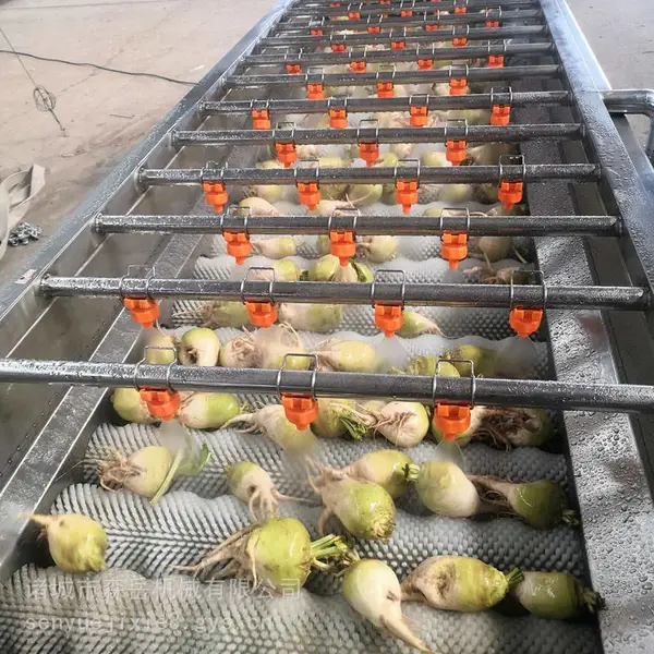 森岳MGQXJ-800蔬菜水果毛辊清洗风干一体机 根茎类果蔬清洗