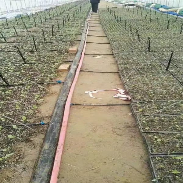 园林地插微喷安装方法 园林地插微喷工程设施生产安装