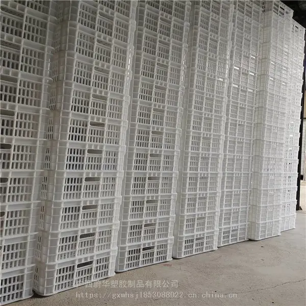 南宁水果胶筐厂 广西塑料框价格 蔬菜运输周转箩框批发