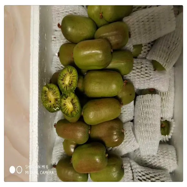 �Ҵ���������⨺����� �޽�⨺����� Ʒ�ֽ��� Ұ��⨺�����