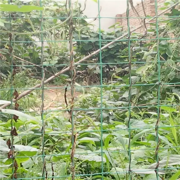 万泰荷兰网 铁丝网片 防护铁丝网