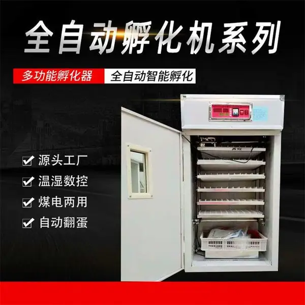 成德 多功能孵化器 珍禽蛋全自动孵化机 孵蛋设备
