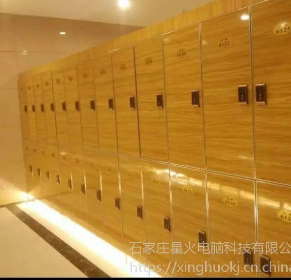 酒店餐饮综合会员软件星火酒店健身娱乐综合收费结账系统