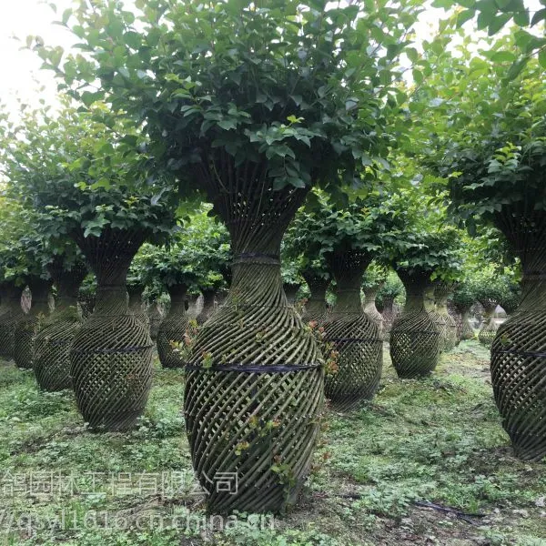 ��ޱС��ƿ����,1.5�׸߻�ƿ����۸�,���ϻ�������۸���ˣ�