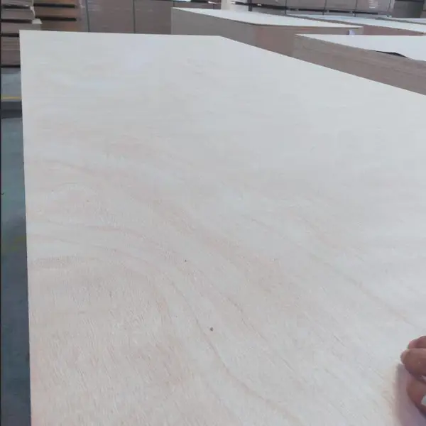 �����װ��彺�ϰ� �������̰�װ���ð��