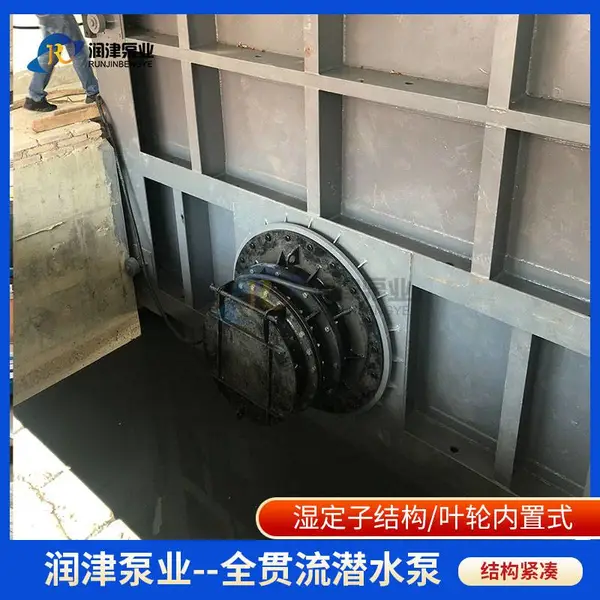 泵闸设备制造商 一体化泵闸定制化生产厂家 润津泵业