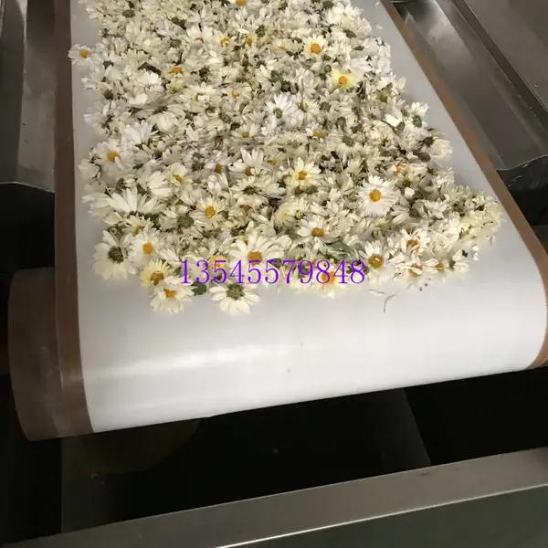 �˲��ջ�΢����ɻ�