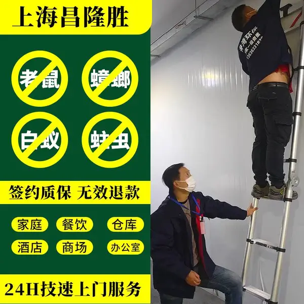上海市 静安区灭老鼠灭白蚁除虫公司(4000980896)