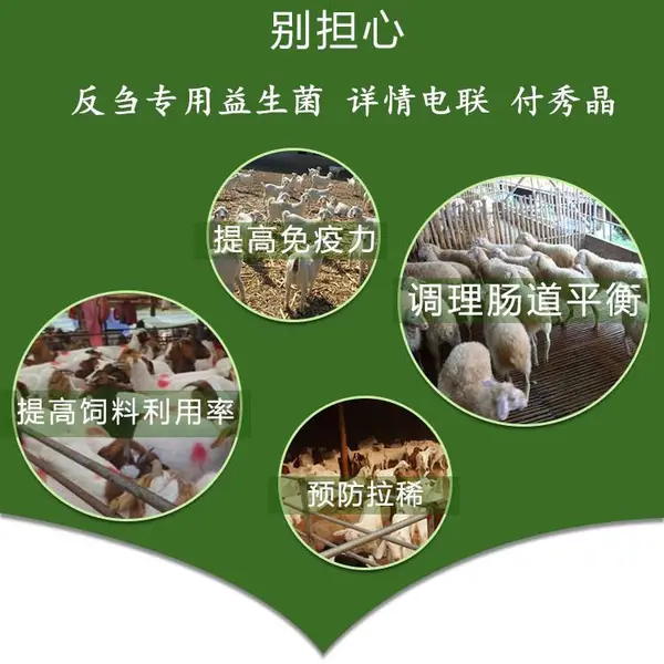 牛羊饲料消化不***用育肥羊益生菌主要功能