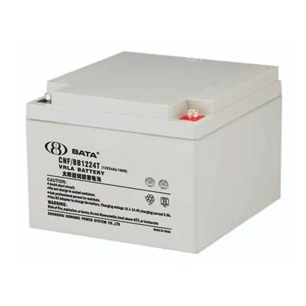 BATA���� CNF/BB1224T �豴������12V24AH ������� ��ҵ��������