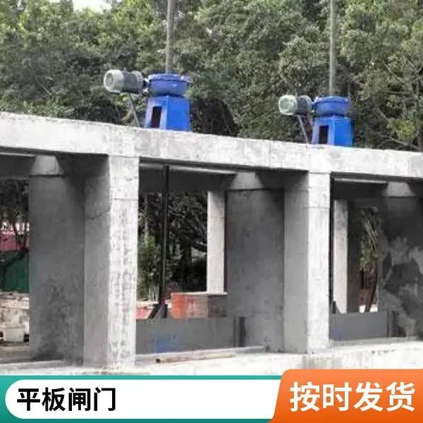 ƽ�湰������բ�� PGZ1.5m*1.5m ˫��ֹˮˮ����ͭ ��ѹˮ��ר