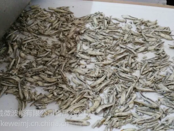 广州科威中药饮片微波干燥杀菌机