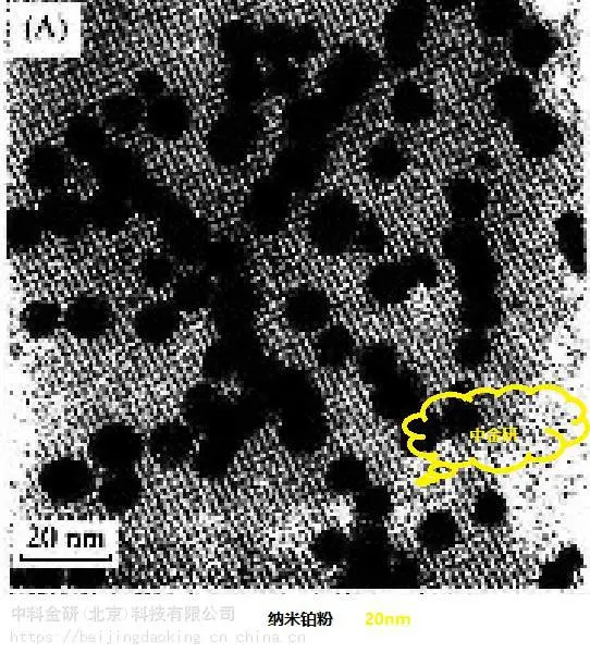 中科金研 纳米铂粉 10nm 99.9%
