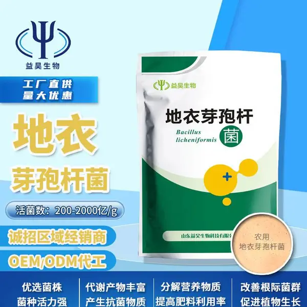 经济作物专用菌剂 地衣芽孢杆菌 菌含量高 生产工厂益昊生物