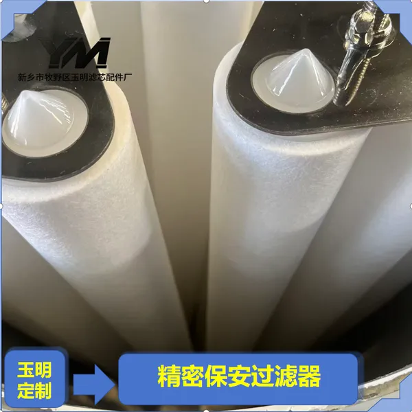 碳钢衬塑精密保安过滤机组 地下水除铁锰后精滤案例 玉明过滤防腐定制方案
