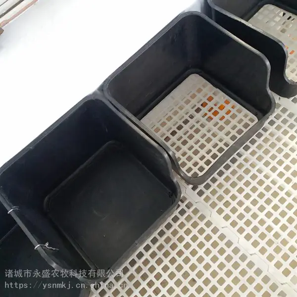 �����޵�Ѽ���� Ѽ���µ��� ��Ѽ���� һ�嵰��
