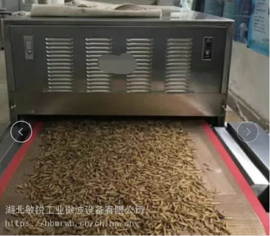 简易黑水虻微波烘干机