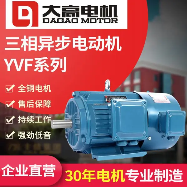 ��ߵ�� YVF2ϵ�� ��Ƶ���ٵ�� �����첽�����綯��
