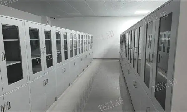 耐腐蚀药品柜咨询 上海天立来实验设备供应