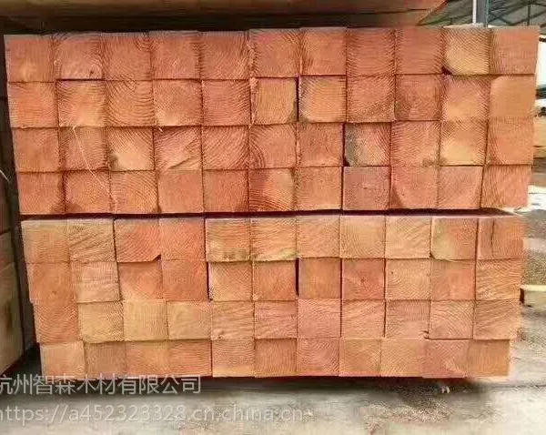 ľ���۸� �г����� ���ҹ�Ӧ ���ʷ���