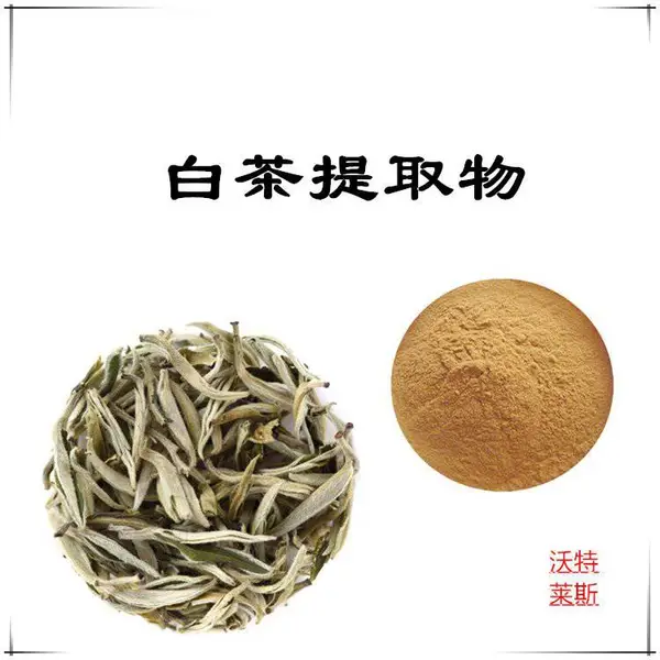 白茶提取物10:1 比例提取,白茶浸膏粉, 白茶粉 ,白茶提取液,白茶浸膏,1公斤起订,包邮
