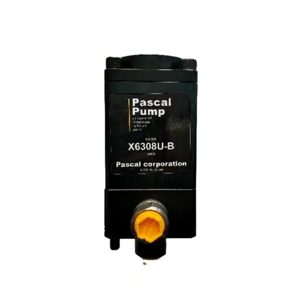 ����PASCAL������
